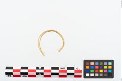 Foto von Golddrahtring (NHMW-PRAE-025483)